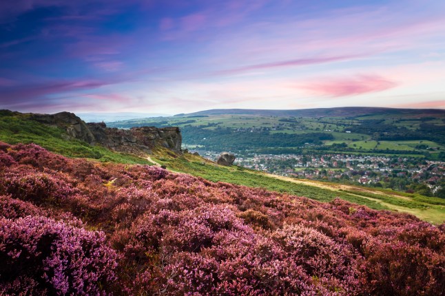 Sunset over a village and a hill of purple heather